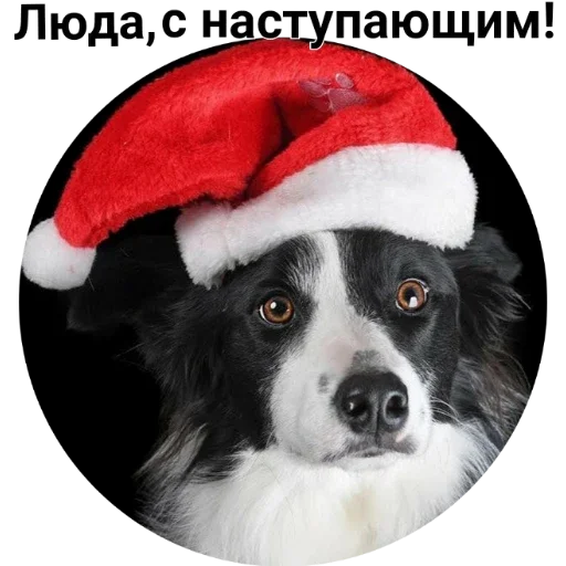 Стикер С наступающим ! - 9