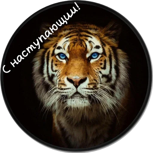 Стикер С наступающим ! - 3