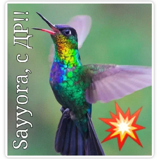 Sayyora, с ДР !!! - 