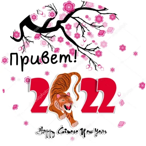 text animal graphics