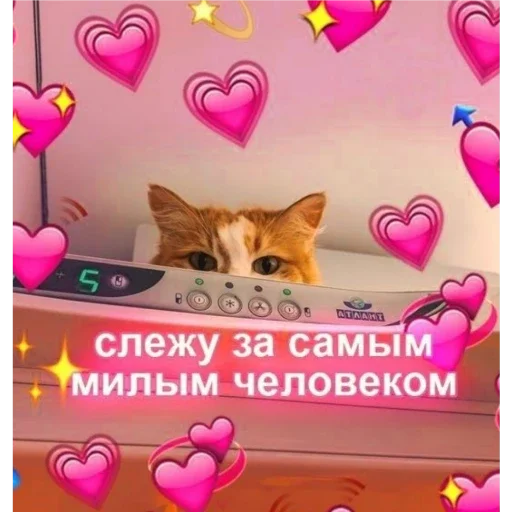 Sticker Пак для моей зайки Яны✨💗 - 11
