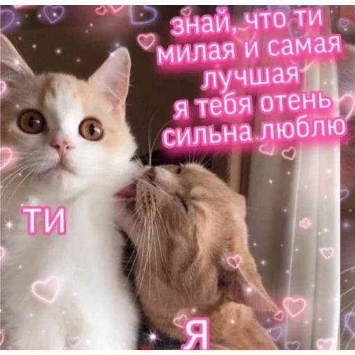Sticker Пак для моей зайки Яны✨💗 - 10