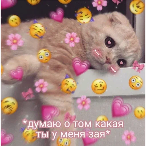 Sticker Пак для моей зайки Яны✨💗 - 6