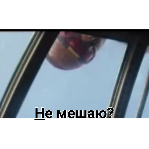 screenshot sky outdoor