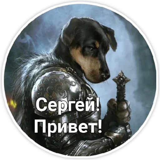 mammal dog breed dog