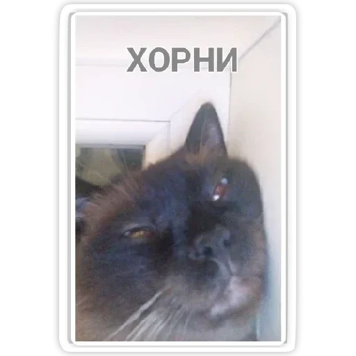 Стикер хорни пельмень - 1