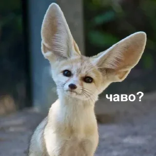 Стикер Создай свои стикеры - @sozdsti_bot - 7