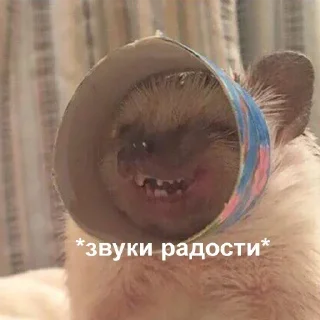 Стикер Создай свои стикеры - @sozdsti_bot - 8