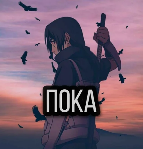 небо облако птица