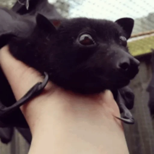 Sticker itsnotbat - 1