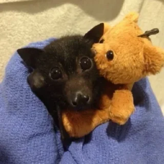 Стикер гетсис ест мышей на завтрак @ifritmoon - 0