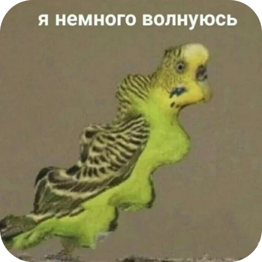 Больше стиков тут: @stikery4 - 