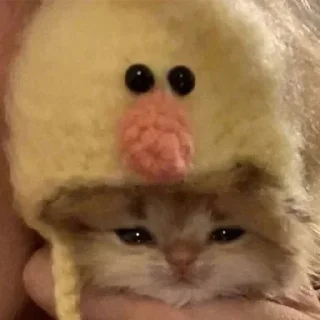 Sticker Больше стикеров 👉🏻 @stickertg4 - 2