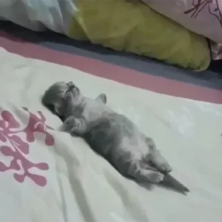 Sticker Больше стикеров 👉🏻 @stickertg4 - 4