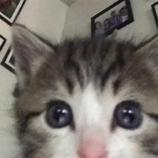 Sticker Больше стикеров 👉🏻 @stickertg4 - 10