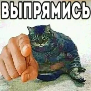 Sticker Больше стикеров 👉🏻 @stickertg4 - 1