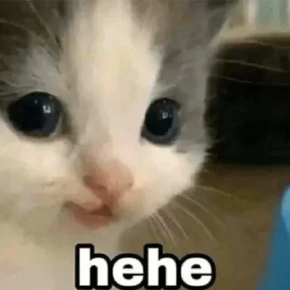 Sticker Больше стикеров 👉🏻 @stickertg4 - 0