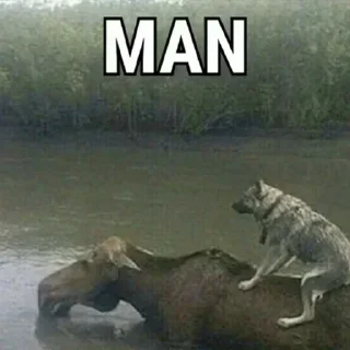 Sticker Больше стикеров 👉🏻 @stickertg4 - 3