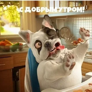 Стикер Стикеры@TgStickerRobot - 1