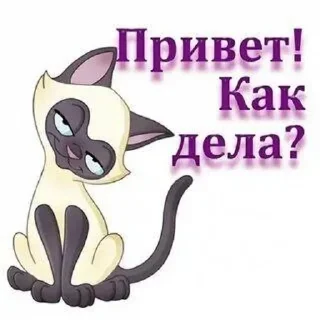 Стикер Стикеры@TgStickerRobot - 0