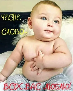 Стикер Стикеры@TgStickerRobot - 5