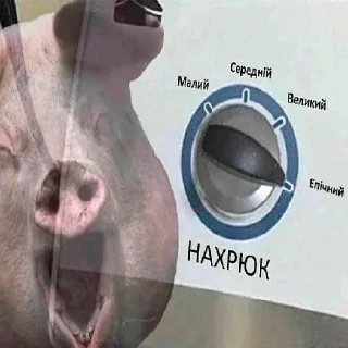 Стикер @iuvenum_disciplina - 9