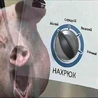 Стикер @iuvenum_disciplina - 5