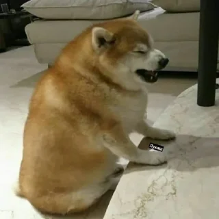 Sticker Создай свои стикеры - @sozdsti_bot - 2