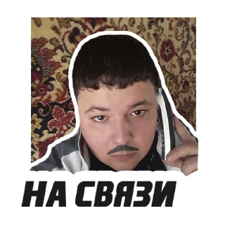 Sticker Ivanilyich - 8