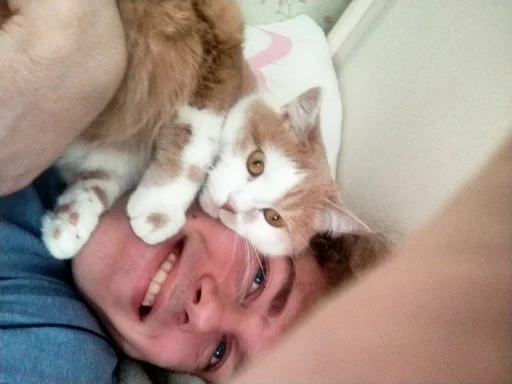 Стикер ivanmargoldin_by_fStikBot - 1