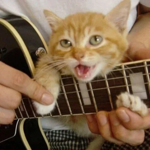 музыкальный инструмент Человек кошачьи