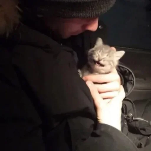 Человек животное млекопитающее