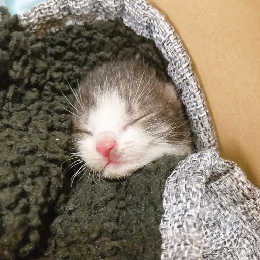 ♡ 3 @ivoxygenivoxygenivoxygen - 