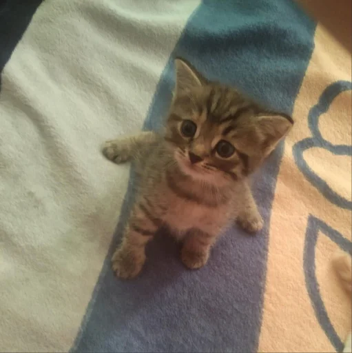 Sticker ♡ 3 @ivoxygenivoxygenivoxygen - 11