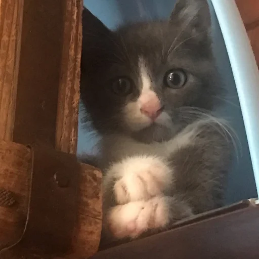 Sticker ♡ 3 @ivoxygenivoxygenivoxygen - 10