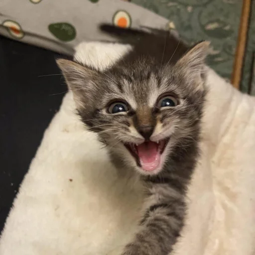 Sticker ♡ 3 @ivoxygenivoxygenivoxygen - 6