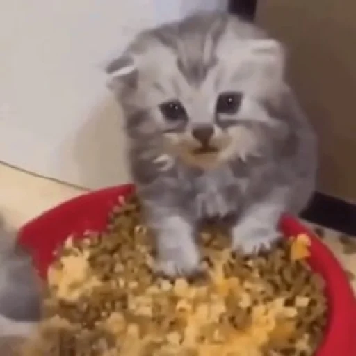 Sticker ♡ 3 @ivoxygenivoxygenivoxygen - 4