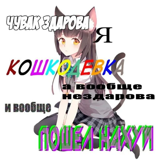 text cat anime