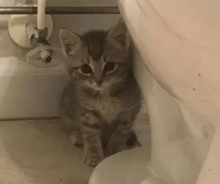 Стикер ьуьуьуьуь( - 10