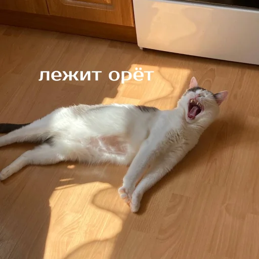 Стикер izbaanimals - 1