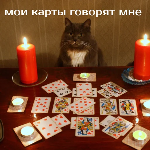 Sticker izbaanimals - 1