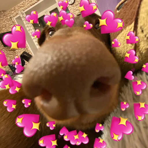 Sticker izbaanimals - 1