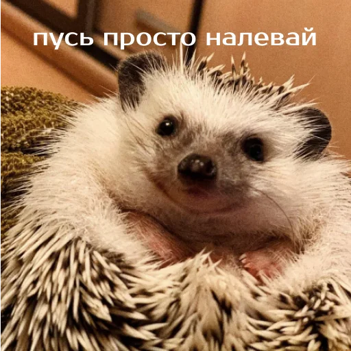 Стикер izbaanimals - 1