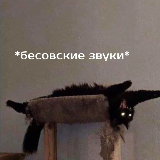 Стикер izbaanimals - 1