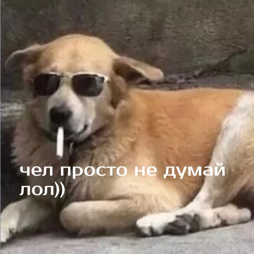 Sticker izbaanimals - 1