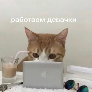 Sticker Зверюшки @BurningHut - 4