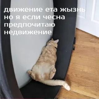 Sticker Зверюшки @BurningHut - 5