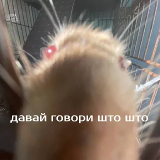 Sticker Зверюшки @BurningHut - 3