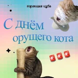Sticker Каждый день с @BurningHut - 1