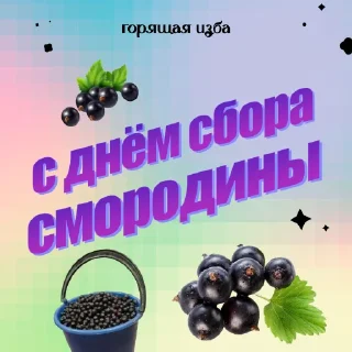 Sticker Каждый день с @BurningHut - 4